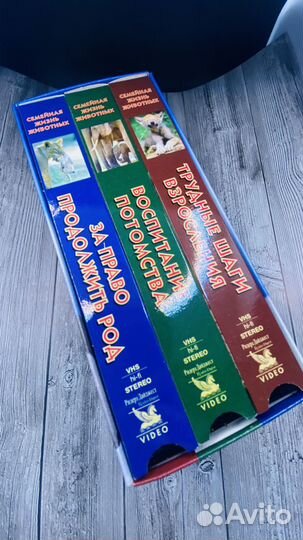 Для детей видео: Семейная жизнь животных. Набор