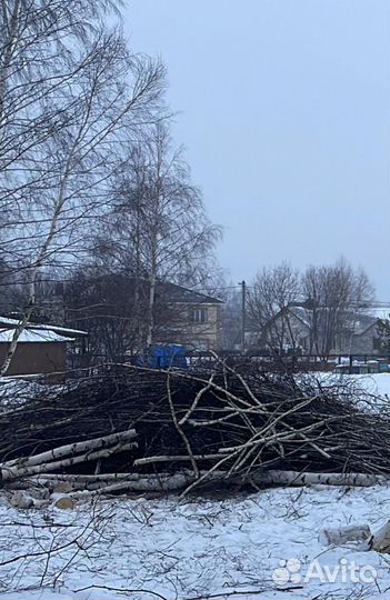 Измельчитель веток аренда дробилки