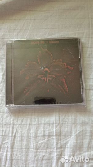 Five finger death punch