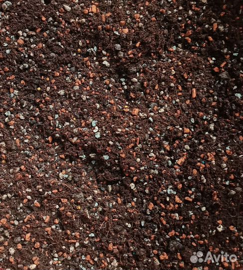 Грунт для ароидных