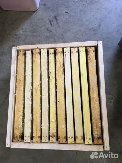 Продаю мед в сотах