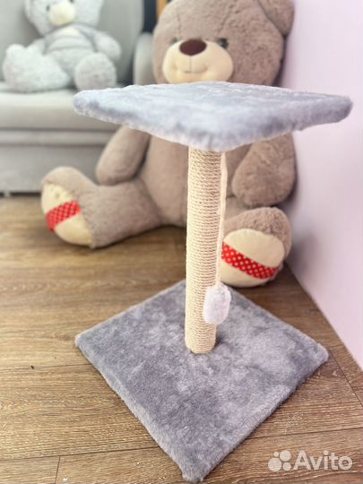 Когтеточка для кошек новая