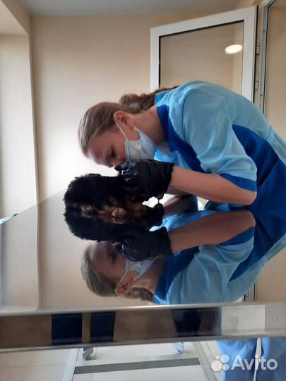 Ветеринарный врач на дом, кастрация, стерилизация