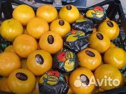 Сладкие и сочные Лавина бренд. Марокко