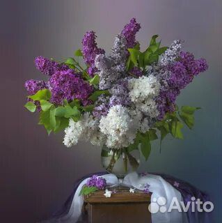 Букет сирени