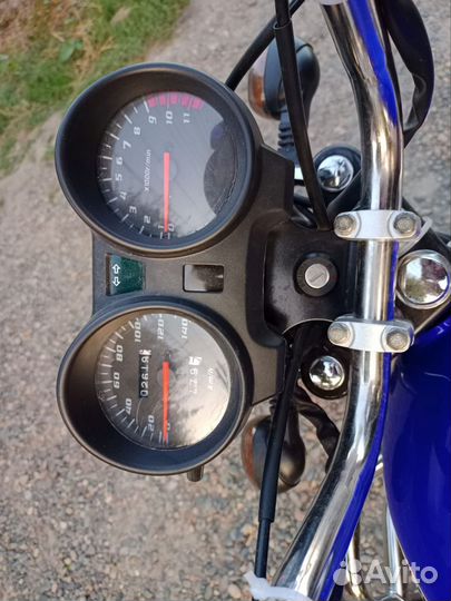 Alpha rx10