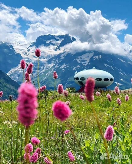 Кав Мин Воды - Автобусный тур + Элиста