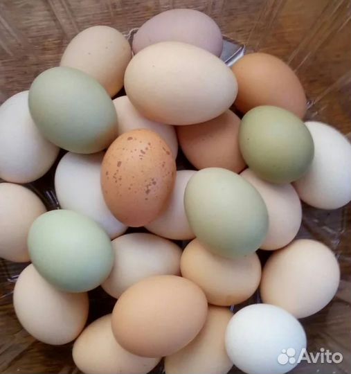 Домашние куриные яйца