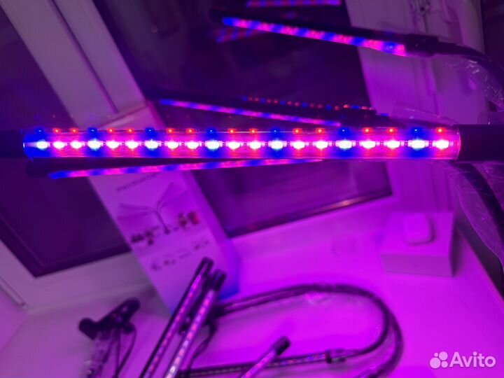 Фитолампа для растений цветов