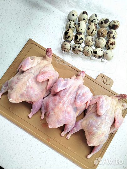 Мясо перепелки