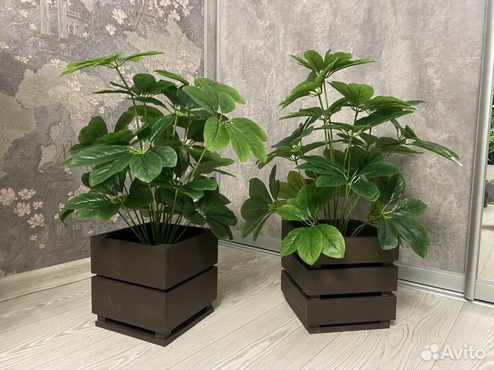 Искусственные растения Искусственная Шефлера