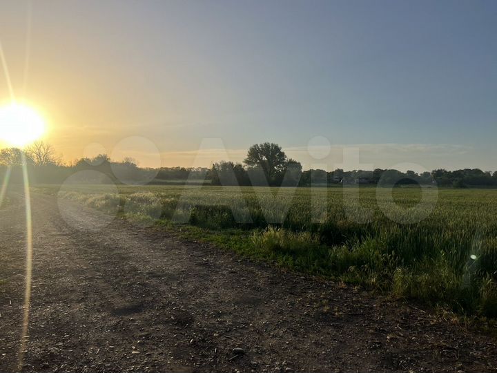 Участок 6 га (СНТ, ДНП)