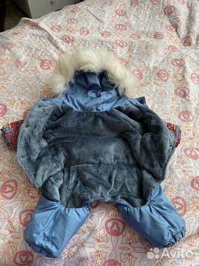 Комбинезон на собаку