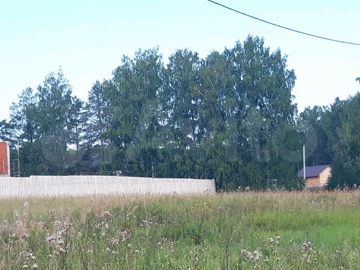 Участок 11,5 сот. (СНТ, ДНП)