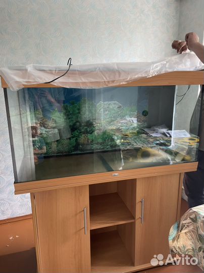 Аквариум с тумбой juwel