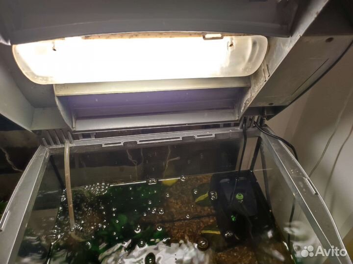 Аквариум Tetra с подсветкой, 30 литров