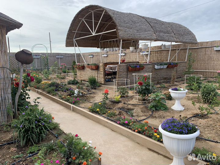 Камышовые декоративные маты, (сезон 2023)