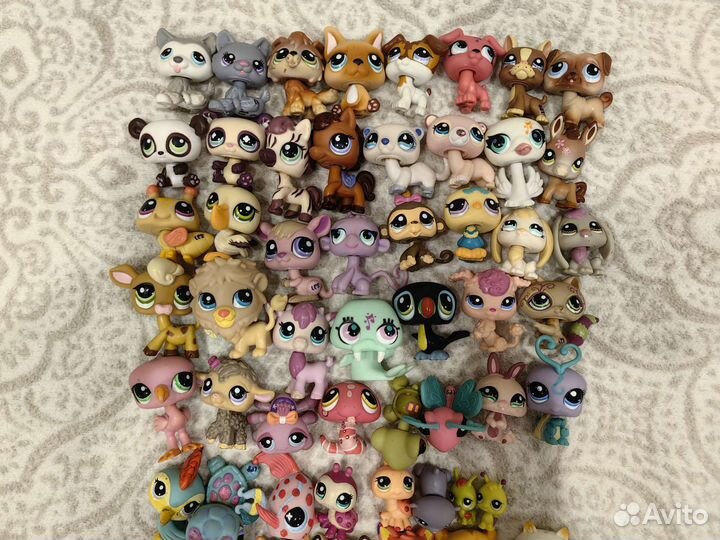 Littlest Pet Shop
