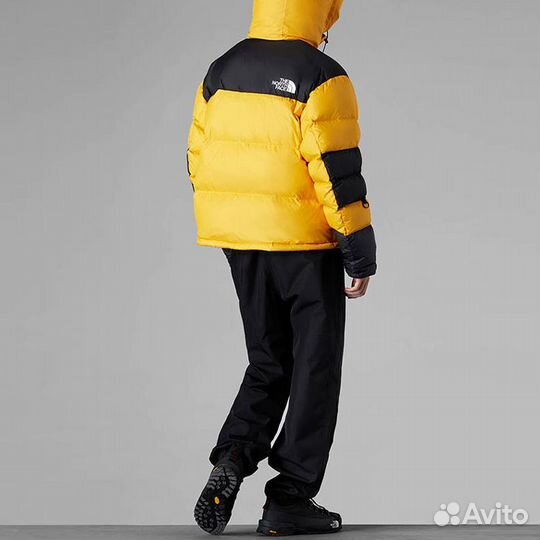 THE north face Urban Exploration Down Jacket Men Yellow (2XL)(32)
