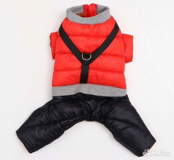 Одежда для собак мелких пород бу