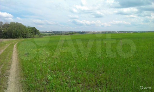 Участок 3,5 га (ИЖС)