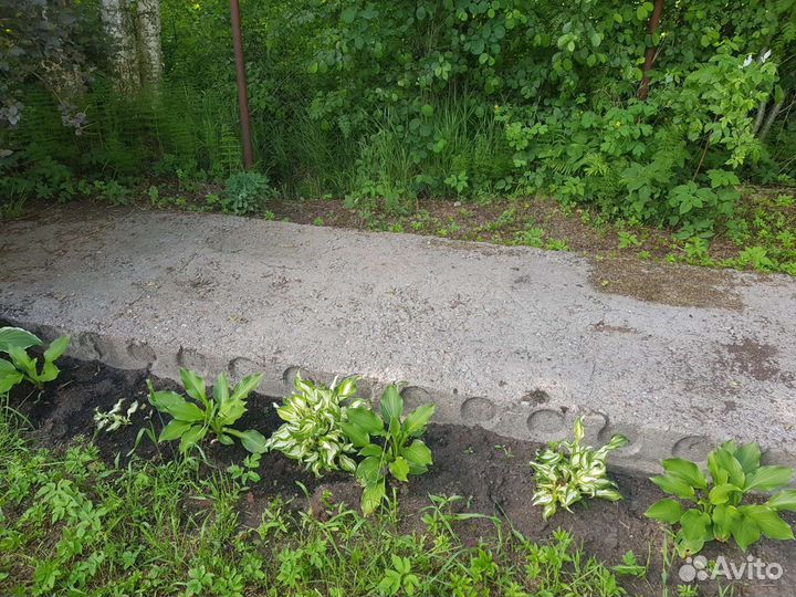 Жби плиты бу