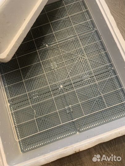 Инкубатор для яиц бу