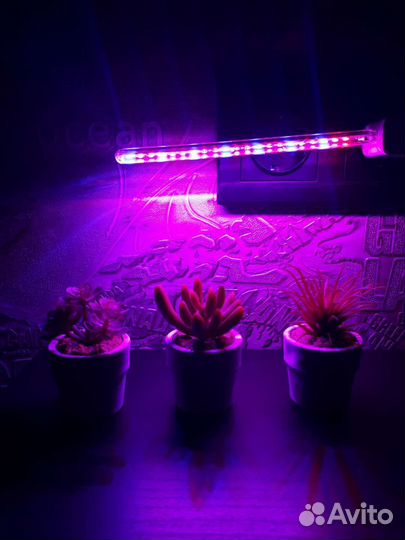 Лампа для растений фито лампа