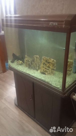 Аквариум jetwin