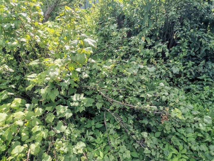 Дача 28,4 м² на участке 4,8 сот.