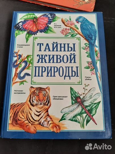 Энциклопедия Тайны живой природы
