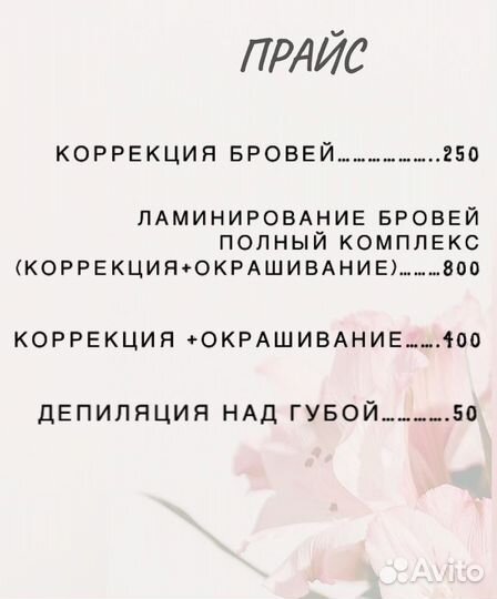 Мастер бровист