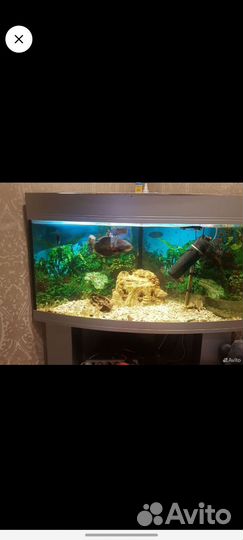 Аквариум с тумбой 130 литров