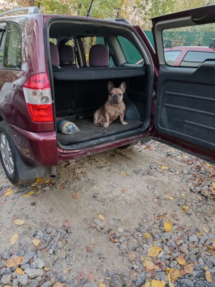 Chery Tiggo (T11): фото из отзыва