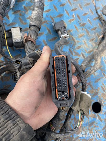 Моторная проводка коса эбу акцент 1.6 16 клапанный