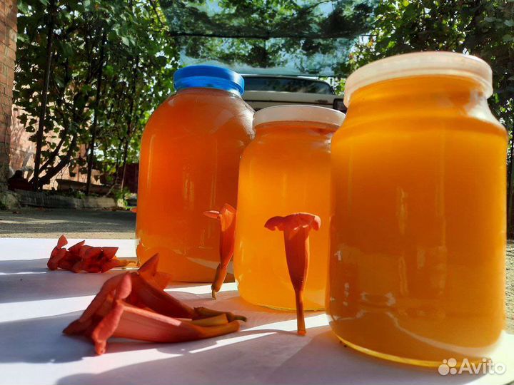 Майский мёд, Рапсовый мёд, Подсолнечный 2023 года