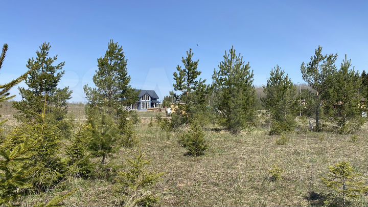 Участок 12,9 сот. (СНТ, ДНП)