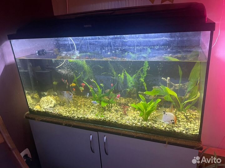 Аквариум под террариум