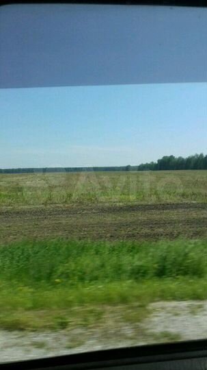 Участок 51 га (СНТ, ДНП)