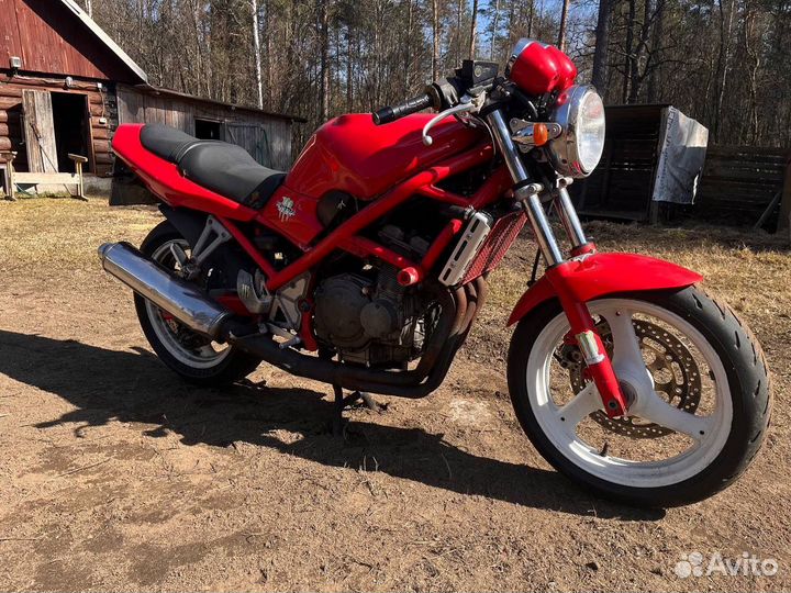 Suzuki bandit 250