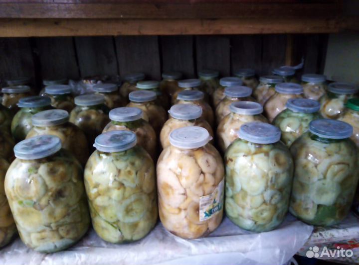 Грибы солёные Грузд