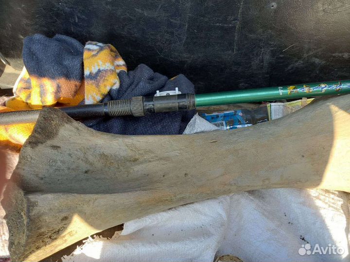 Кость мамонта