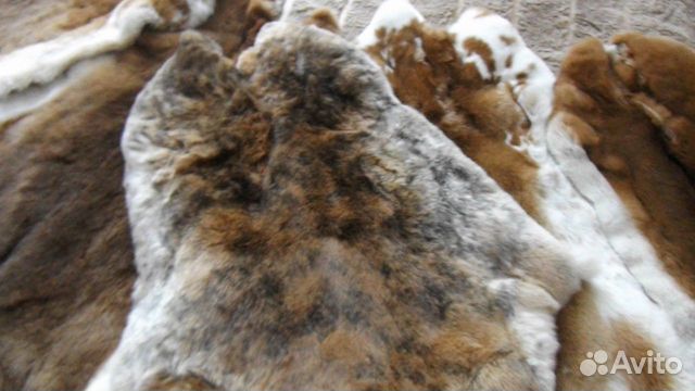 Мех кролика рекс
