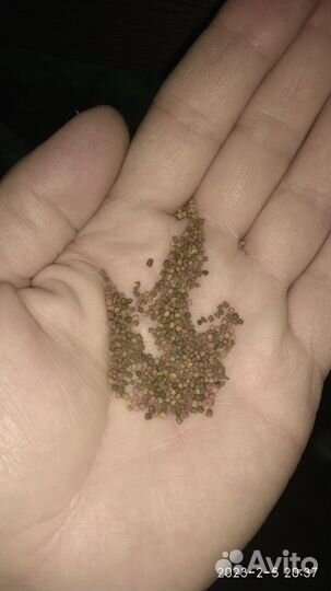 Корм для рыб