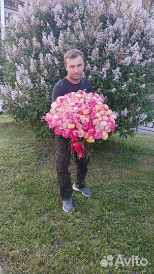 Розы Цветочки