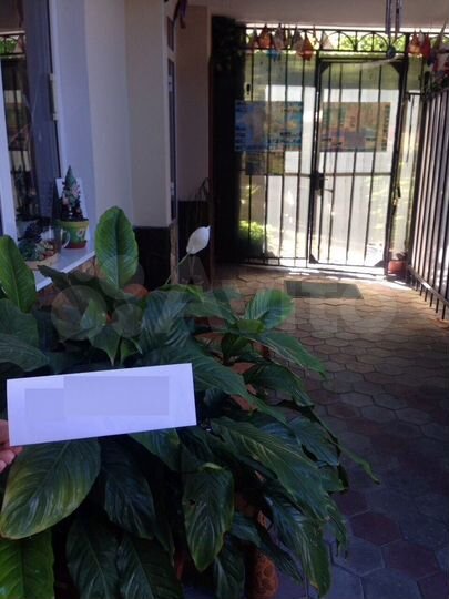 Дом 50 м² на участке 1 сот.