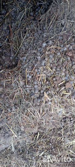 Навоз кроличий в мешках