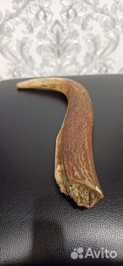 Рог для ножа