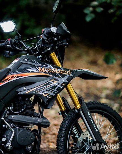 Новый универсальный мотоцикл Blazer 250 с птс
