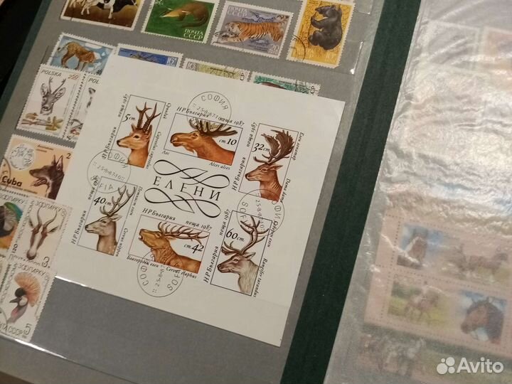 Огромный лот с редкими марками